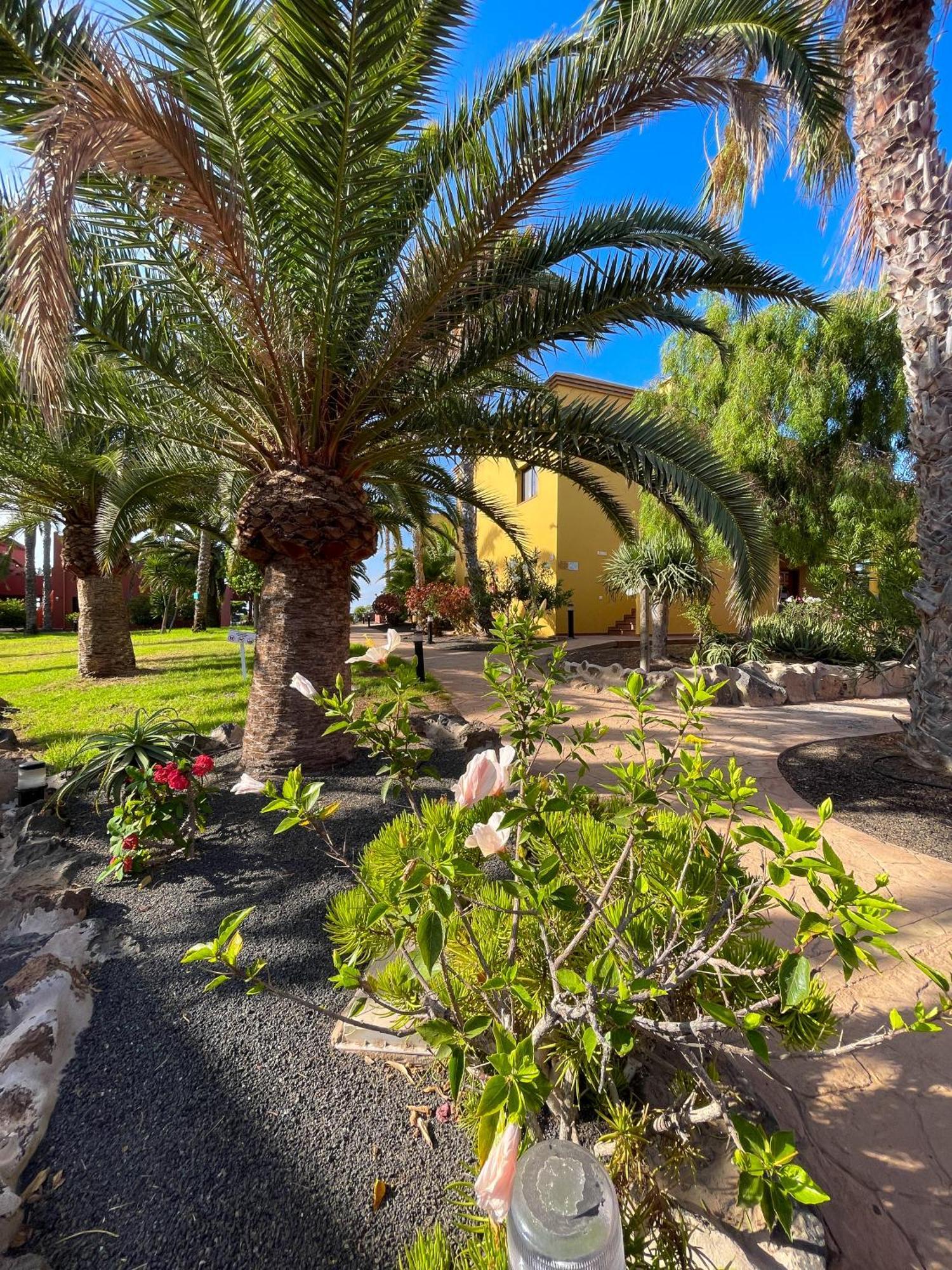 Karol Home By Best Holidays Fuerteventura Corralejo Esterno foto